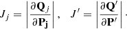 $$ \begin{aligned} J_j = \left| \frac{\partial \mathbf{Q}_j}{\partial \mathbf{P_j}} \right|,&\;\;\; J^{\prime } = \left| \frac{\partial \mathbf{Q}^{\prime }}{\partial \mathbf{P^{\prime }}} \right|\cdot \end{aligned} $$