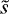 $\tilde{s}$