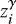 $z_i^{\gamma}$