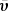 $ {\boldsymbol{\bar{\upsilon}}} $