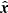 $ \hat{\boldsymbol{x}} $