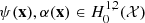 $ \psi ({\bf{x}}),\alpha ({\bf{x}}) \in H_0^{1,2}({\cal X}) $