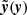 $ \tilde{\boldsymbol{\mathit{y}}}(\boldsymbol{\mathit{y}}) $