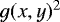 $g(x,y)^2$