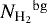 ${N_{\textrm{H}_{2}}}^{ \rm bg}$