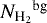 ${N_{\textrm{H}_{2}}}^{\textrm{bg}}$