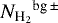 ${N_{\textrm{H}_{2}}}^{\textrm{bg} \, \pm}$