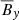 $ \overline{B}_{\mathit{y}} $