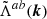 $ \tilde{\Lambda}^{ab}({\boldsymbol{k}}) $