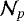 $\mathcal{N}_p$