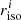 $ r_{{\rm{iso}}}^i $