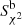 $ S_{{\chi ^2}}^{\rm{b}} $