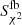 $ S_{{\chi ^2}}^{{\rm{fb}}} $