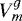 $V^g_m$