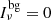 $ I_\nu ^{{\rm{bg}}} = 0 $