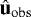 $\hat{\mathbf{u}}_{\mathrm{obs}}$
