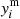 $ y_i^{\rm{m}} $
