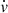$ \dot{v} $