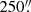 $ 250\overset{\prime \prime }{.} $