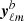 $ \boldsymbol{y}_{\ell m}^b $