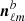 $ \boldsymbol{n}_{{\ell m}}^{b} $