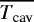 $\overline{T_{\textrm{cav}}}$