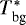 $T^*_{\textrm{bg}}$