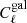 $ C_\ell^{\mathrm{gal}} $