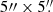 $ 5{{{\prime\prime}}}\times5{{{\overset{\prime\prime}{.}}}} $