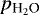 $p_{{\textrm{H}_2 \textrm{O}}}$