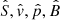 $ \hat{S}, \hat{v}, \hat{p}, \hat{B} $