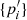 $ \{p^{\prime}_i\} $