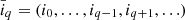 $ \bar{i}_q = (i_0,\ldots,i_{q-1}, i_{q+1},\ldots) $
