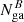 $ N_{\rm ga}^B $