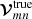 $ \boldsymbol{\mathcal{V}}_{mn}^{\mathrm{true}} $