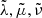 $ \tilde{ \lambda},\tilde{\mu},\tilde{\nu} $