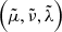 $ \left( \tilde{\mu},\tilde{\nu},\tilde{\lambda}\right) $