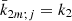 $ \bar{k}_{2m;j}=k_{2} $