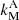 $ k_{\mathrm{M}}^{\mathrm{A}} $