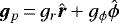 ${\bm{g}}_{p}\,{=}\,g_r \hat{\bm r} &#x002B;g_{\phi} \hat{\boldmath \phi}$