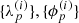 $ \{\lambda_p^{(i)}\}, \{\phi_p^{(i)}\} $