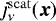 $j_{\nu}^{\mathrm{scat}}(\vec{x})$
