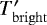 $T_{\mathrm{bright}}^{\prime}$