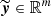 $ {\widetilde{\boldsymbol{y}}} \in \mathbb{R}^m $