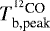 $T_{\textrm{b,peak}}^{^{12}\textrm{CO}}$