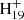 $ \rm{H}_{19}^+ $