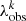 $ \lambda_{\rm obs}^k $