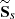 $ \mathbf{\widetilde{S}}_s $