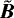 $\tilde{\bm{B}}$