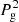 $ P_{\mathrm{g}}^{2} $